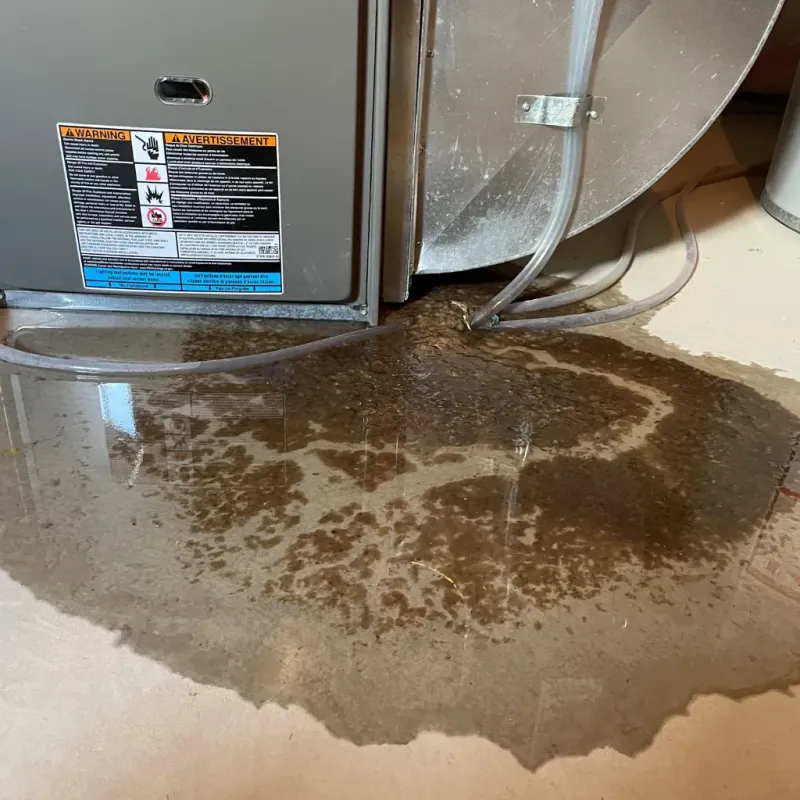 Appliance Leak Cleanup in Loudoun County, VA